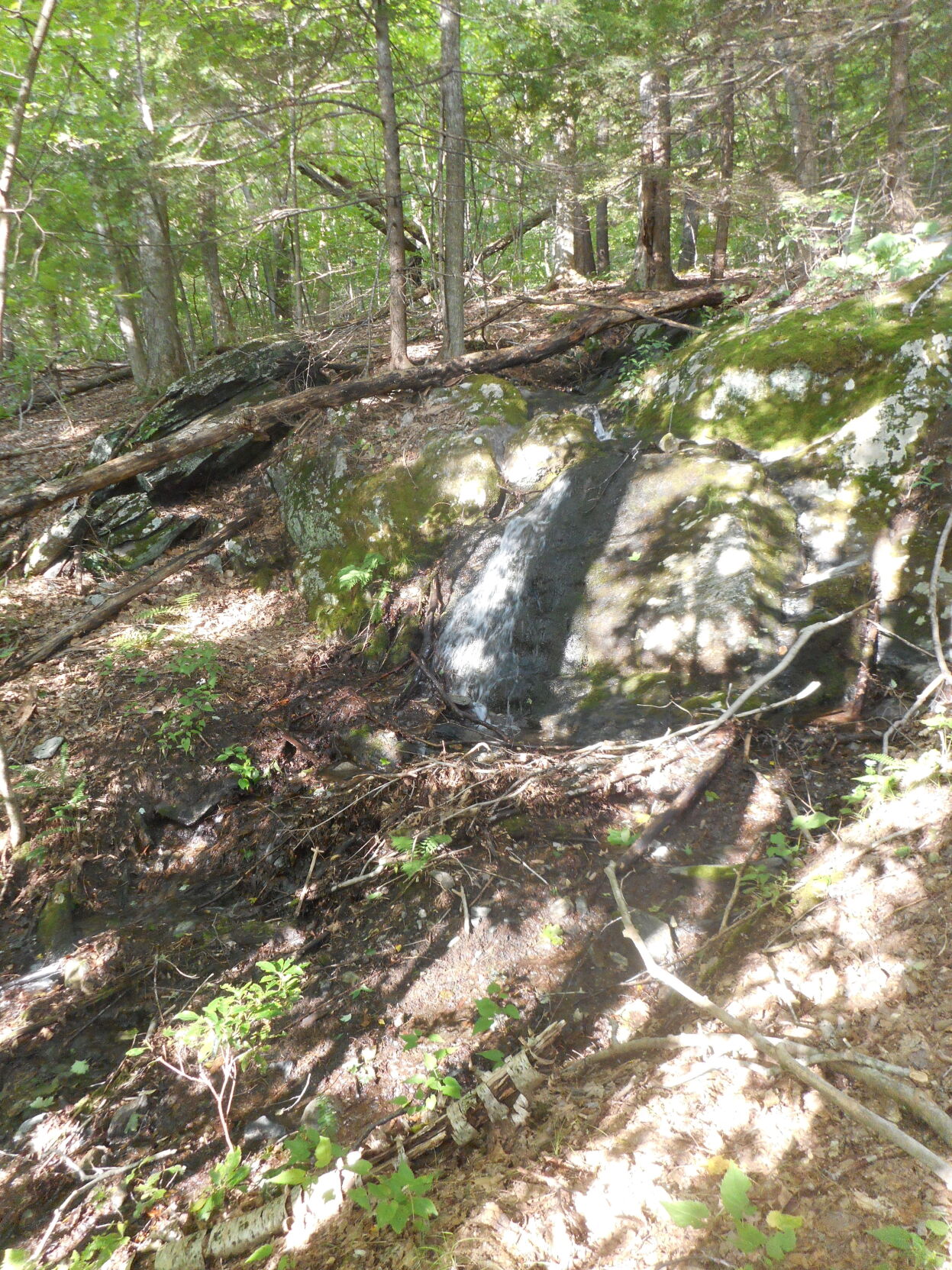 Steep section of PV Ledges Trail